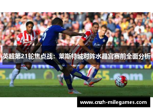 英超第21轮焦点战:莱斯特城对阵水晶宫赛前全面分析 英超第21轮焦点战:莱斯特城对阵水晶宫赛前全面分析